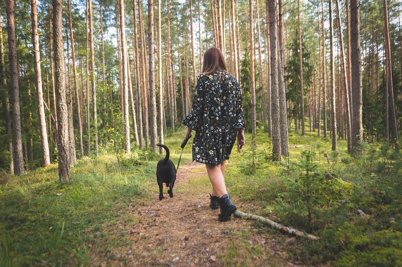 Walking in Nature